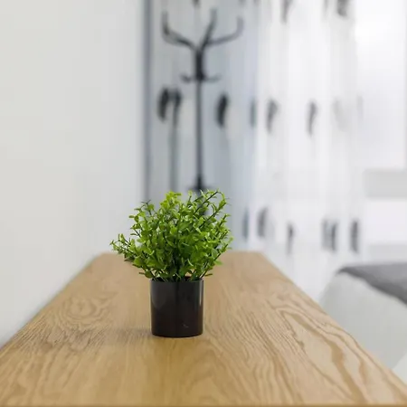 Sg Apartamento Las Palmas de Gran Canaria